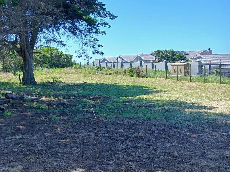 0 Bedroom Property for Sale in Tergniet Western Cape